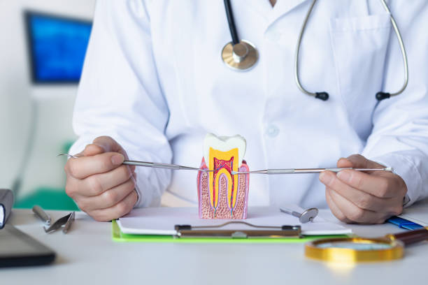 Best Emergency Root Canal Treatment in Chamberlain, SD
